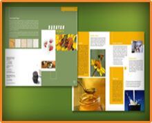 catalog designing services