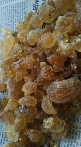 Herbal Babool Gum
