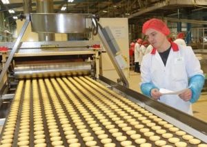 Biscuit Cooling Conveyor