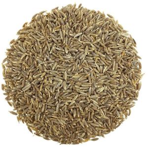 Cumin Seeds