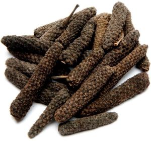 Long Pepper