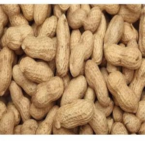 Whole Groundnut