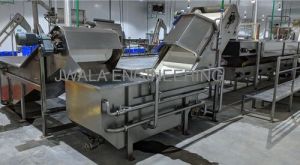 Mango Pulp Processing Plant