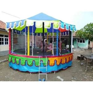 Kids Jumping Trampoline