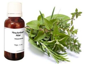 Ambari Hina Attar