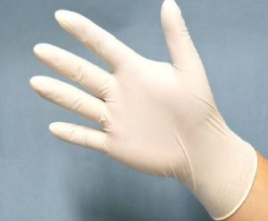 Latex Examination Gloves