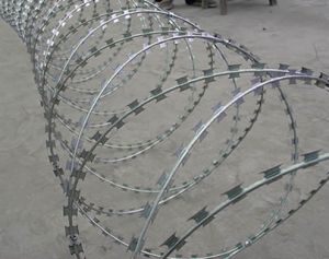 Punched Tape Concertina Coil