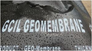 Geomembrane