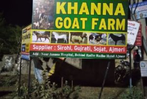 Goat Farming service