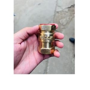 Vertical Check Valve