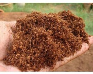 Gardening Coco Peat Powder