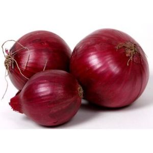 Onion