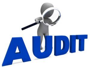 Statutory & Tax Audit Services