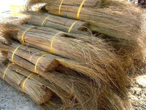 Coconut Broom Stick