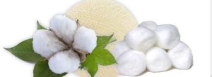 Raw Cotton