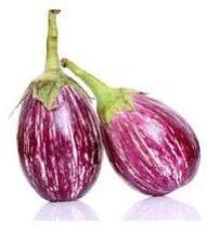 Fresh Brinjal