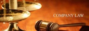 Company Law Consultancy Services