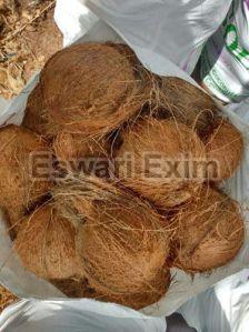 Brown Fresh Coconut