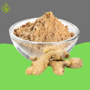 Dehydrated Ginger Powder