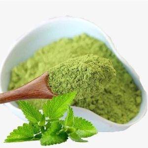 dried mint powder