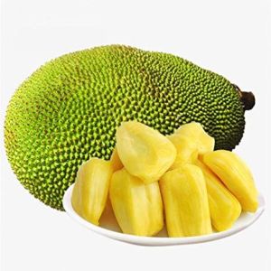 Fresh Jackfruit