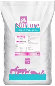 Chelated Nurmin (Mixture of Essential Vitamins & Chelated Minerals with Lactobacillus sporogenes)