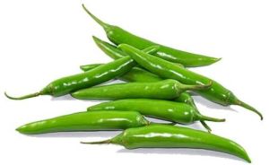 Long Green Chilli