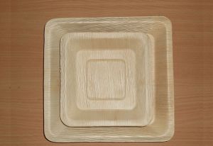 Square Areca Eco Friendly Plates