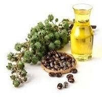 Castor Oil