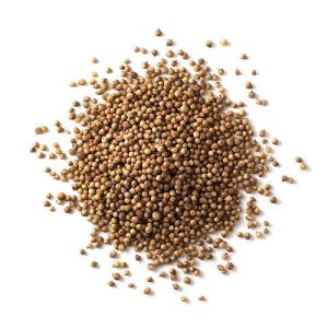 Coriander Seads