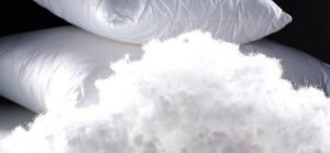 Polyester Fiber