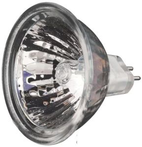 Halogen Lamp