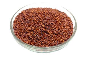 Finger Millet