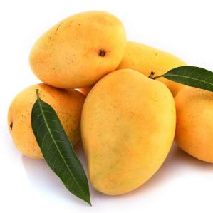 Fresh Mango