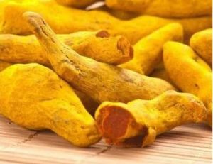 Turmeric Finger