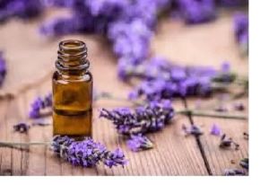 Lavender Oil