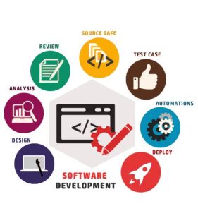 customized software development services