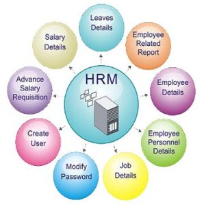HR / Payroll Management System Software