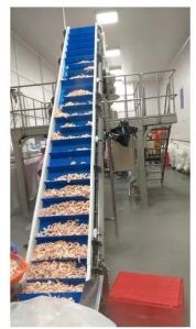 Modular Belt Conveyor