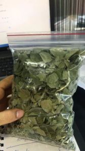 Moringa Leaves