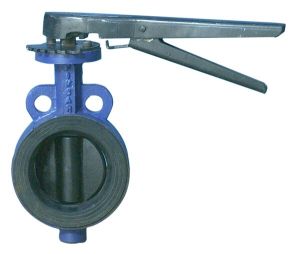 Butterfly Valve Central Disc