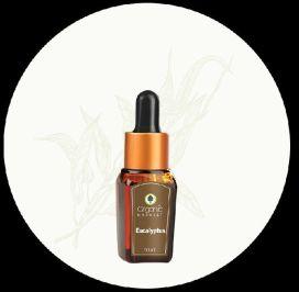 Eucalyptus Essential Oil (10 ml) - Organic Harvest