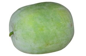 Ash Gourd