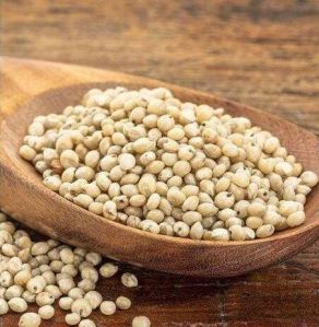 Jowar Seeds