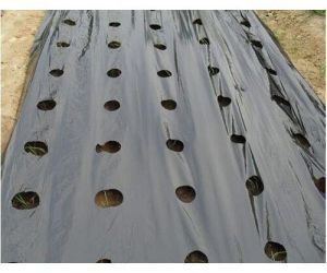 Bio Agri Mulch Film