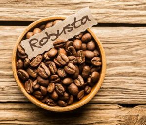 Robusta Coffee