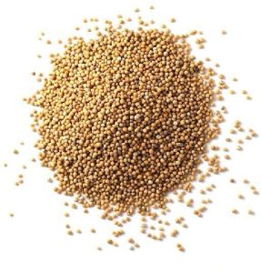 Natural Mustard Seed