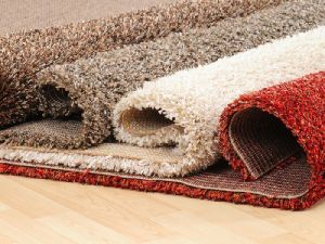 Shaggy Carpets