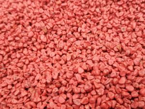 Annatto Seeds