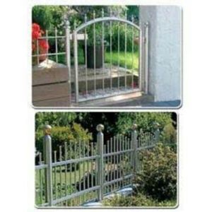 Stainless Steel Park Gate